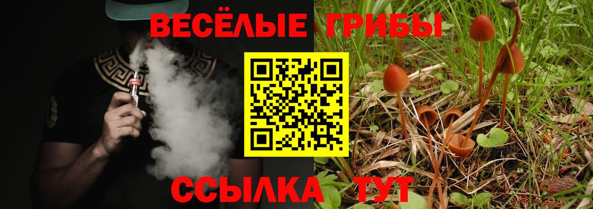 Псилоцибиновые грибы мицелий Магадан