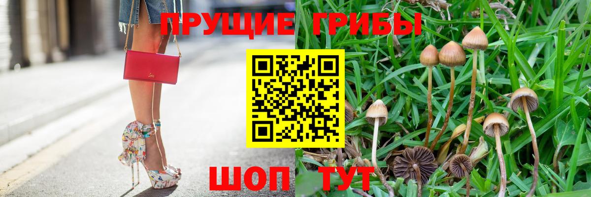 Магадан  Псилоцибиновые грибы Psilocybine cubensis  Вход с VPN 